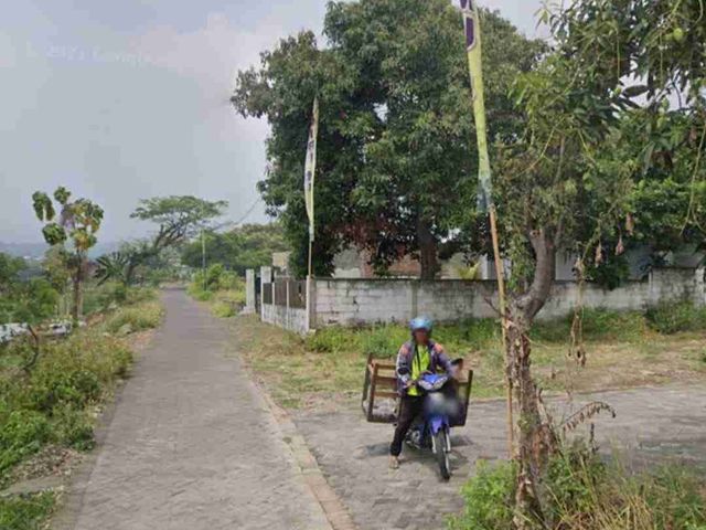 place photo 7