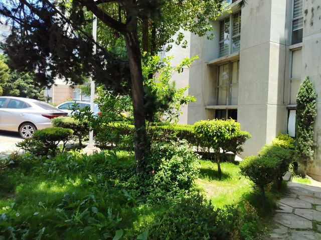 place photo 37