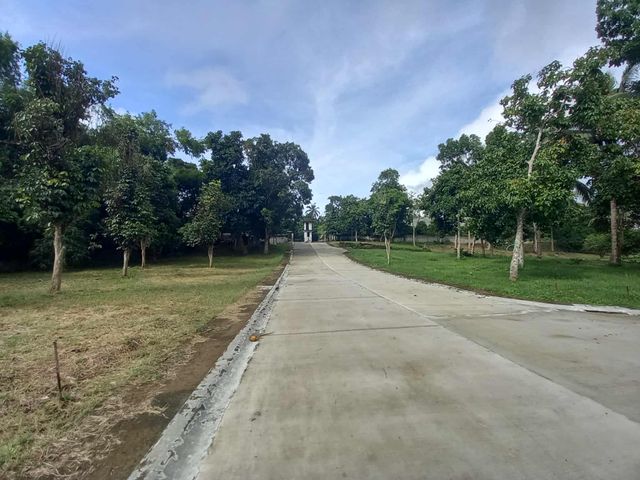 place photo 23
