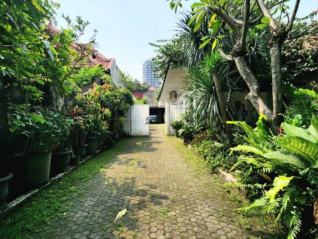 place photo 18