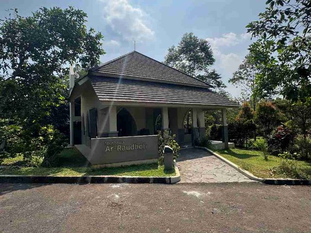 place photo 9