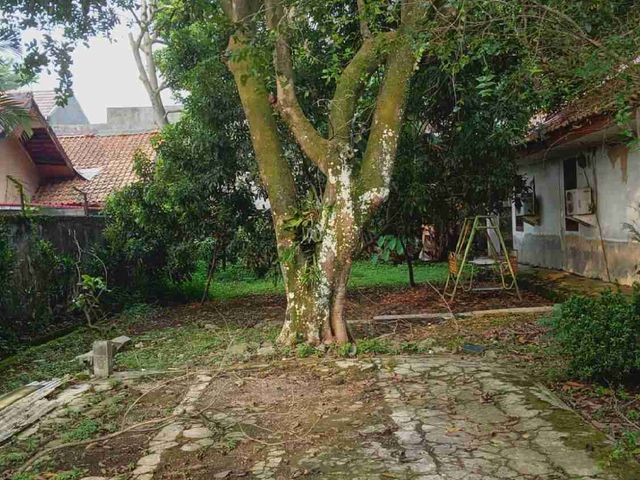 place photo 9