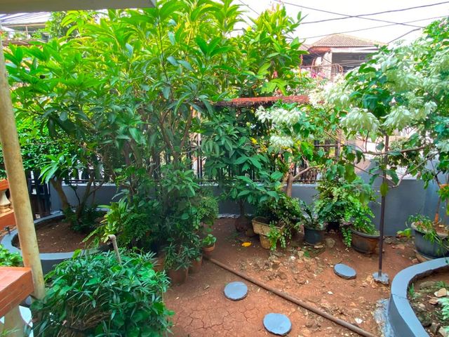 place photo 17