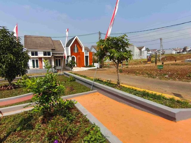 place photo 7