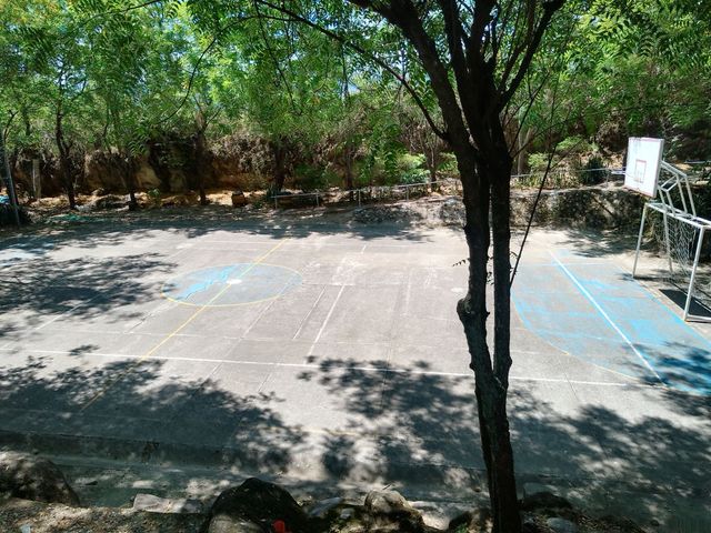 place photo 23
