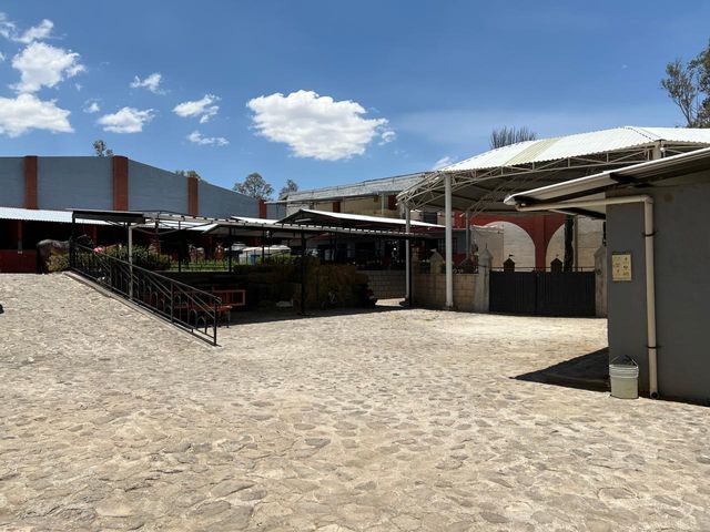 place photo 31