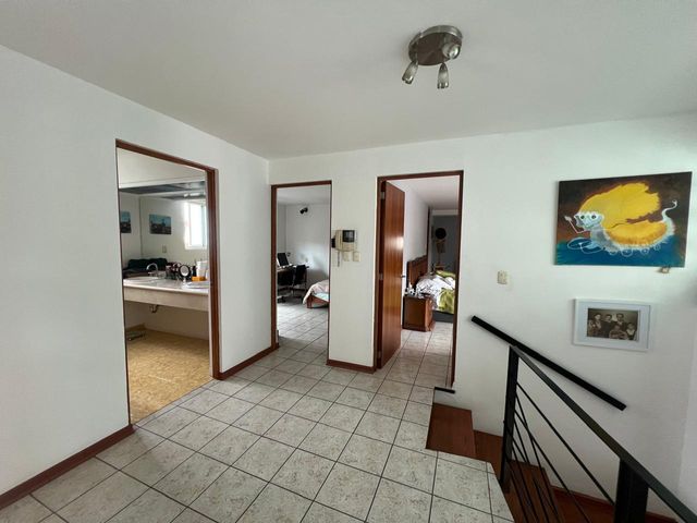 place photo 43