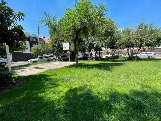place photo 14