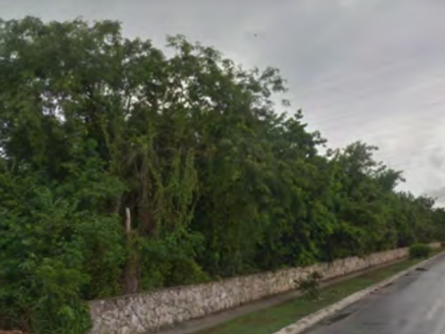 Macrolote de 5,000 m² en Venta sobre Av. Xel-Há cerca de Carretera Federal – Playa del Carmen