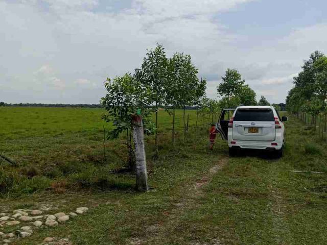 place photo 22