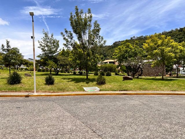 place photo 24