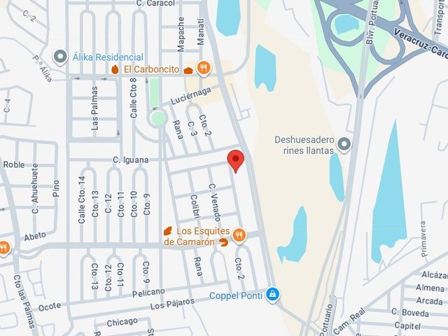 place photo 7