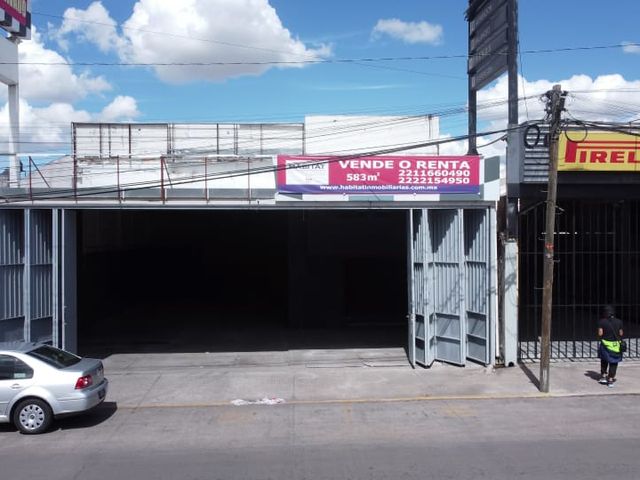 place photo 24
