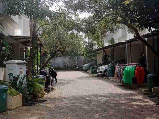 place photo 16
