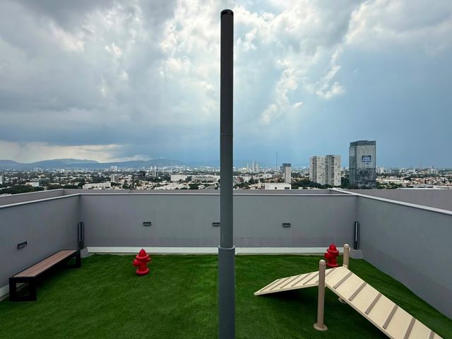 place photo 37