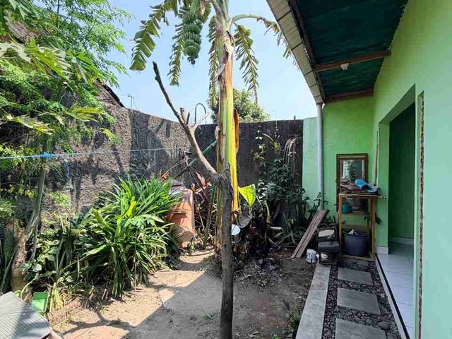 place photo 23