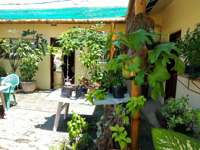 place photo 14