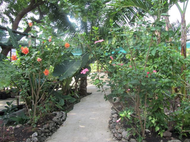 place photo 18