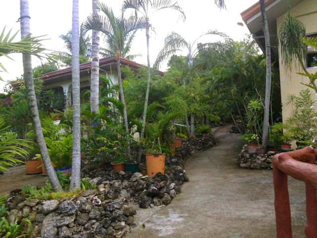 place photo 22