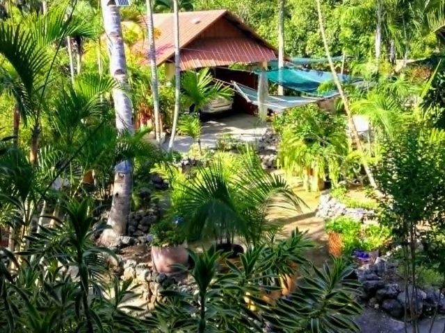 place photo 27
