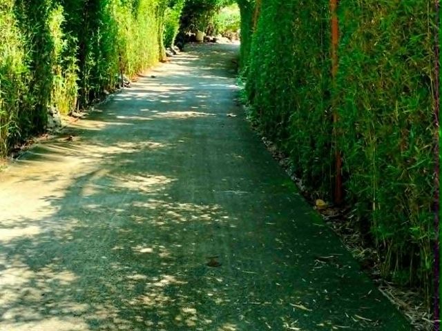 place photo 28