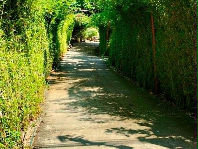 place photo 29