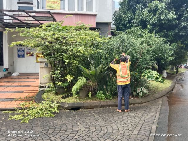 place photo 28
