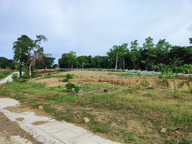 place photo 23