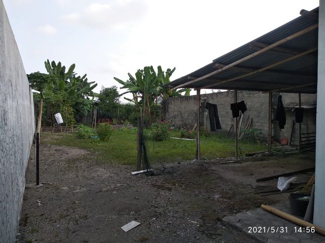 place photo 3