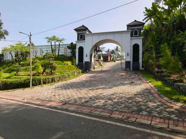 place photo 9