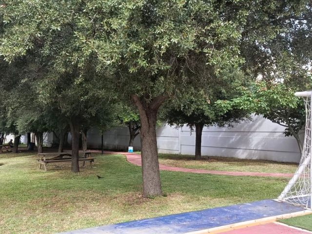 place photo 19