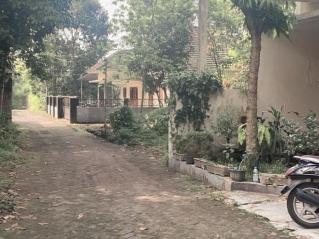 place photo 14