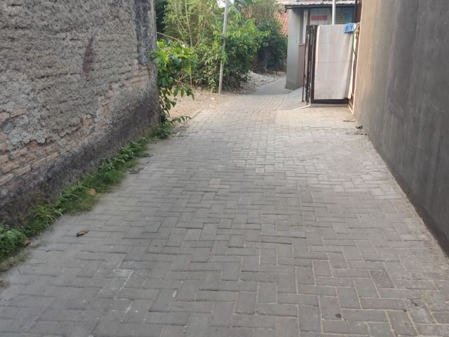 place photo 11