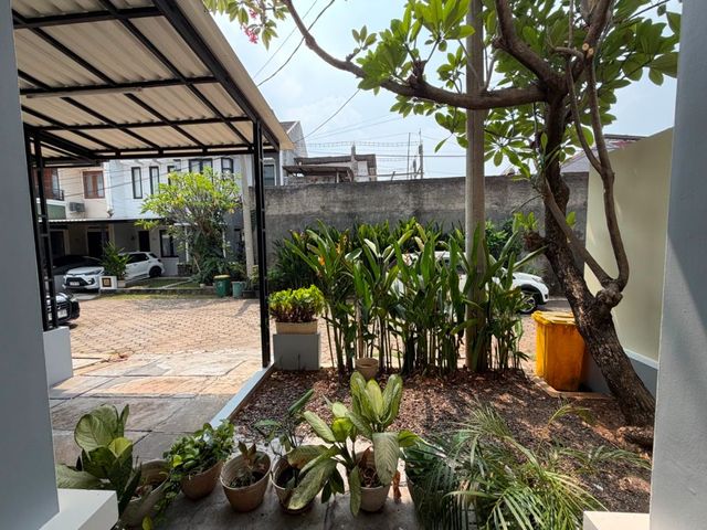 place photo 26