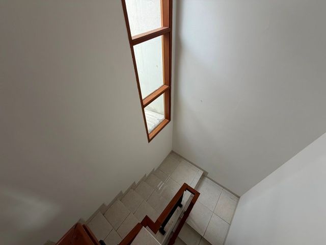 place photo 60
