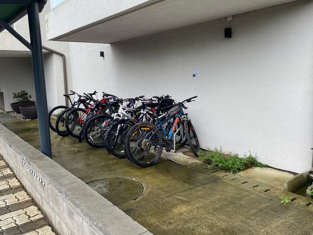 place photo 29