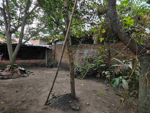 place photo 13