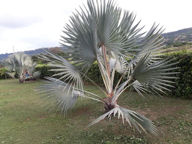 place photo 40