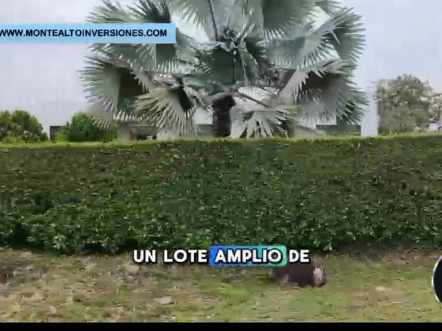 place photo 51