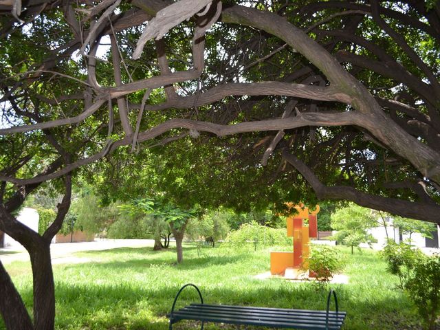 place photo 49