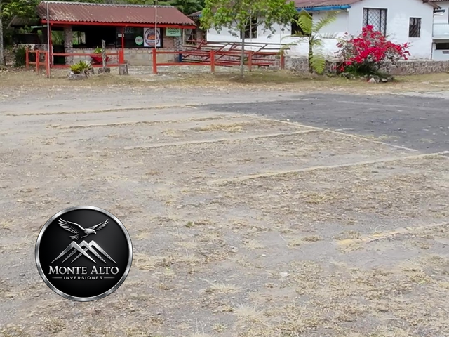 place photo 19