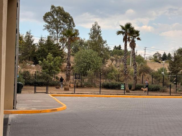 place photo 28