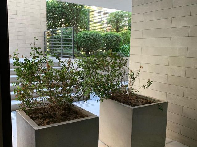 place photo 83