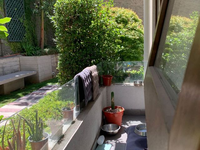 place photo 44