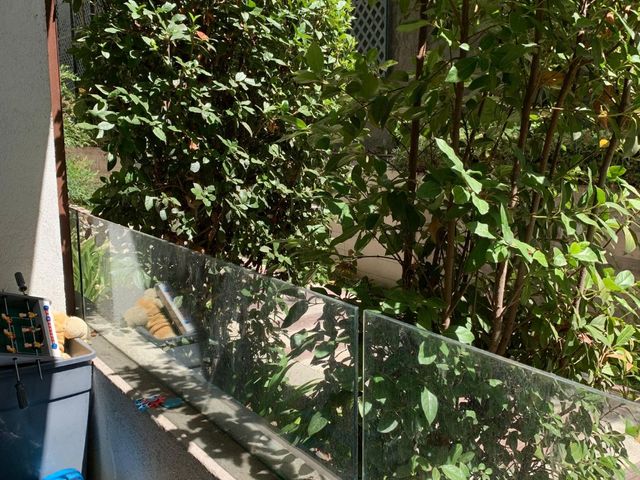 place photo 61