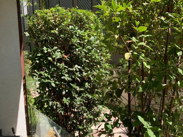place photo 84
