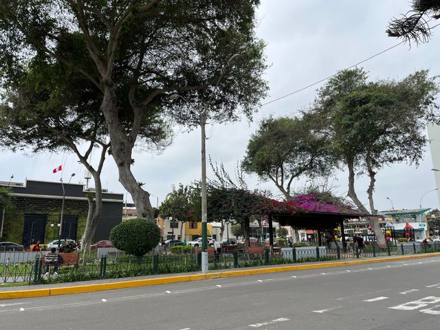 place photo 15