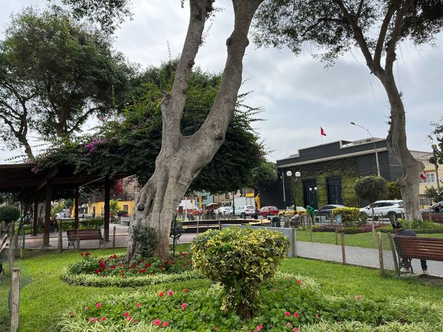 place photo 14
