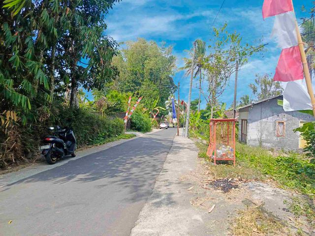 place photo 9