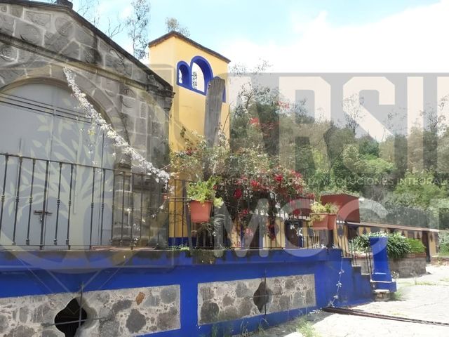 place photo 37